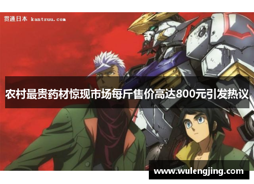 农村最贵药材惊现市场每斤售价高达800元引发热议
