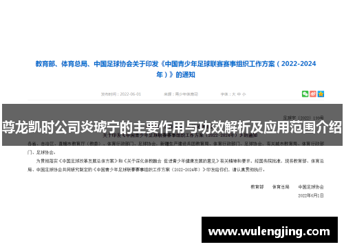 尊龙凯时公司炎琥宁的主要作用与功效解析及应用范围介绍